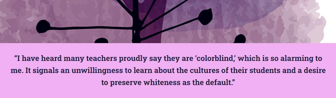 “I have heard many teachers proudly say they are ‘colorblind,’ which is so alarming to me. It signals an unwillingness to learn about the cultures of their students and a desire to preserve whiteness as the default.” 